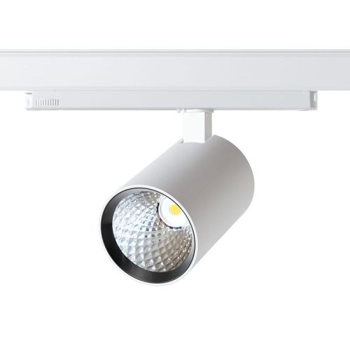 rob-80-120-white2.jpg