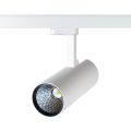 robo80-white.jpg