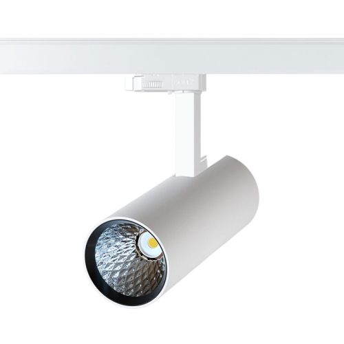 robo80-white.jpg