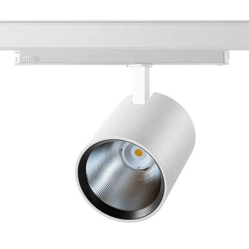 2021_Roben_white_www.jpg