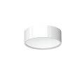 2019_Dot_A_A_Z1_bialy_polysk.png