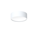 2019_Dot_A_A_Z1_bialy_mat.png