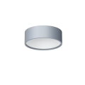 2019_Dot_A_A_Z1_srebrny_mat.png