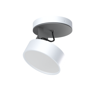 Lampa sufitowa DOT 10W 3000K lub 4000K regulowany Cleoni - Do wyboru kolor - RABAT do 15% -
