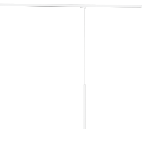 2019_Ner_A3T_bialy_mat.png