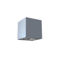 2019_Pinto_srebrny_polysk.png
