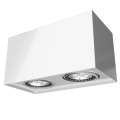 2019_Alejo_S2_bialy_polysk.png