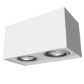 2019_Alejo_S2_bialy_mat.png