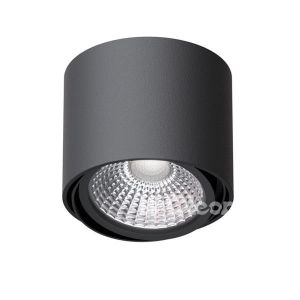 Lampa sufitowa spot reflektor okrągły uchomy TITO 1x ES111 230V GU10 Cleoni  - kolor do wyboru - RABAT do 15% -