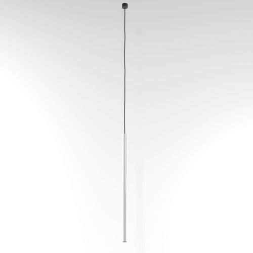 T169A7L191.jpg